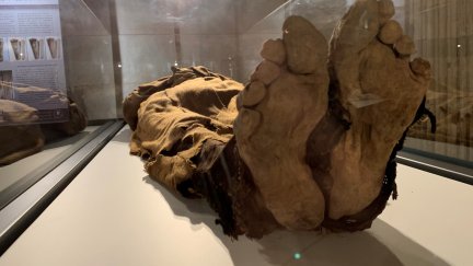 Los pies de una de las momias expuestas en Quinto. (Foto: Museo de las Momias)
