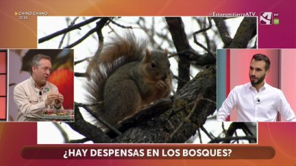Bellotas, gabarderas y madroños: la despensa del bosque
