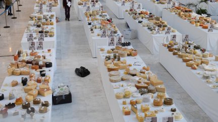 Oviedo ha sido la capital mundial del queso al acoger el World Cheese Awards (WCA) 2021, que ha reunido a más de 4.000 quesos de 48 países de los cinco continentes. (EFE/ Eloy Alonso).