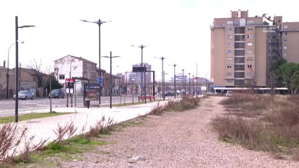Imagen de la avenida Cataluña de Zaragoza.