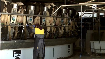 Dos operarios en un centro de producción láctea.