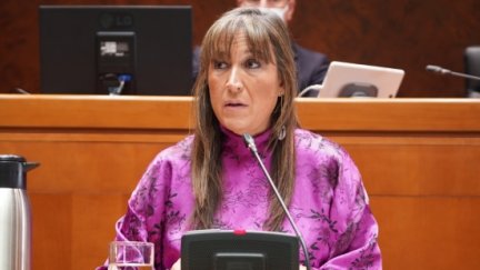 La consejera de Sanidad, Sira Repollés.