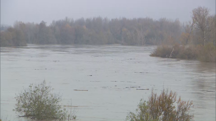 El Ebro, a su paso por la Ribera Alta del Ebro.