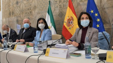 La ministra Darias, en el centro, al inicio del Pleno del Consejo Interterritorial del Sistema Nacional de Salud