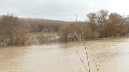 El río Ebro, este viernes, a su paso por Pradilla.