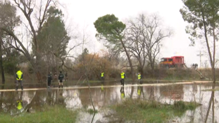 Trabajos en Pina de Ebro (Zaragoza) este miércoles.