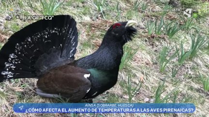 El cambio climático nos afecta a todos