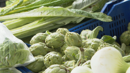 Productos típicos de la huerta zaragozana.