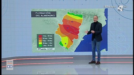 Floración de los almendros