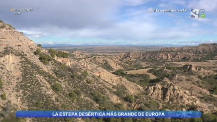Estepa desértica: biodiversidad