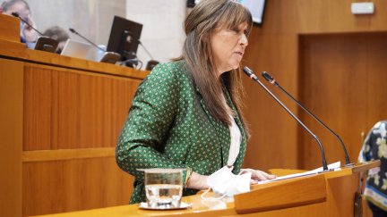 La consejera de Sanidad, Sira Repollés, en la tribuna del Pleno de las Cortes este jueves. / Cortes de Aragón