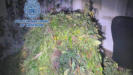 Contenido de uno de los sacos incautados. / Policía Nacional.