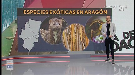 Especies invasoras (I)