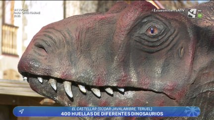 Huellas de dinosaurios