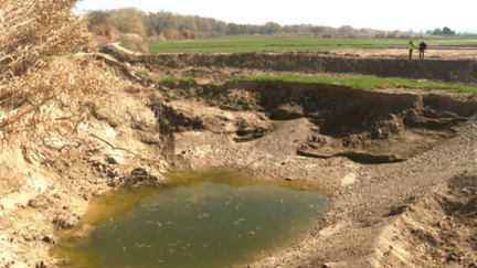 Una de las actuaciones que se están realizando en la ribera del Ebro.