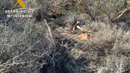 Uno de los lugares lugar donde fueron hallados los cuerpos. / Foto: Guardia Civil.