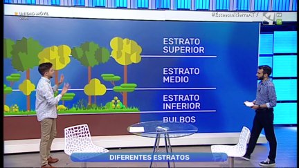 Diseñar por estratos