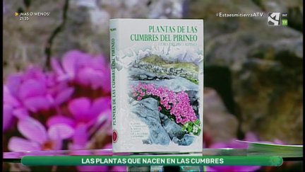 En las cumbres del Pirineo