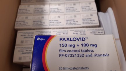 Antiviral Paxlovid contra la COVID-19. / Foto: Delegación del Gobierno