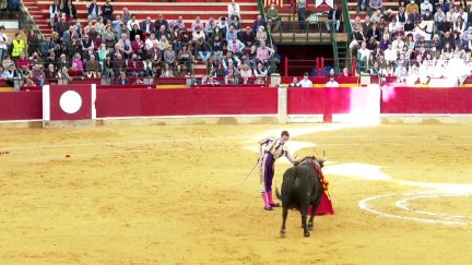 Imagen de la corrida de este domingo. / CARTV