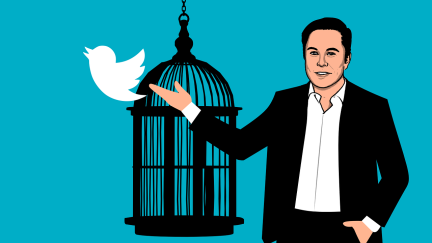 ¿Cual será el futuro con Elon Musk al frente de Twitter? / Pixabay.