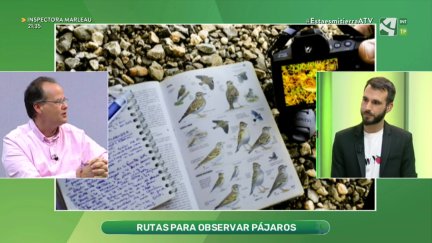 Rutas para observar aves en Aragón