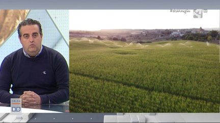 Censo agrario (I)