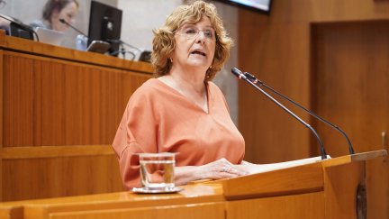 La consejera de Ciudadanía, María Victoria Broto, durante su intervención este viernes. / Cortes de Aragón