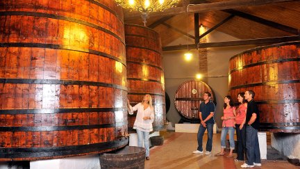 Visita a una bodega aragonesa. / Foto: Enoturismo Aragón