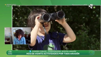 Día Mundial de las aves migratorias
