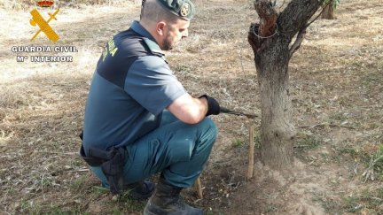 Agentes del SEPRONA de la Guardia Civil de Monzón intervinieron 8 lazos de acero, una jaula trampa y un cepo.