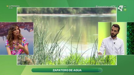 Zapatero de agua