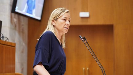 Consejera de Economía, Marta Gastón, en el pleno de las Cortes de Aragón, celebrado este jueves. / Gobierno de Aragón