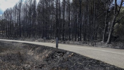Vista general de los daños producidos por el incendio en la sierra de la Culebra. (EFE/Mariam A. Montesinos)