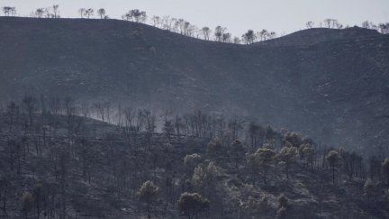 Monte arrasado por las llamas en el incendio de Nonaspe este domingo. / Europa Press