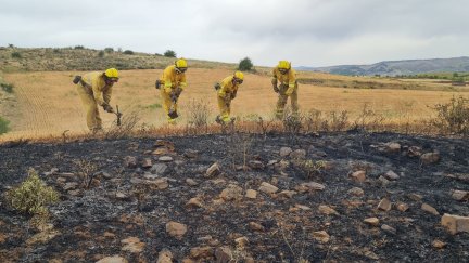 Cuadrilla terrestre de Pelarda en el incendio de Castejón de Tornos. / Gobierno de Aragón.