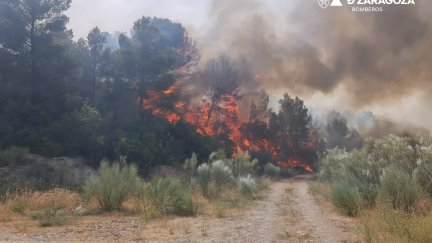 Imagen de archivo del incendio que ha quemado 2.000 hectáreas de superficie forestal en Nonaspe (Zaragoza). / Diputación de Zaragoza