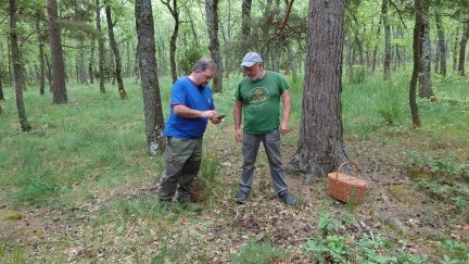 Recolectores utilizando la App Interfungi en el Moncayo. / CITA