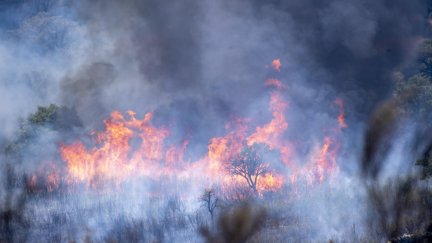 Imagen del incendio activo en el Parque Nacional de Monfragüe, en Cáceres. (EFE/Ismael Herrero)