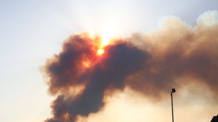Imagen del incendio de Ateca, en Zaragoza. / IFF Aragón