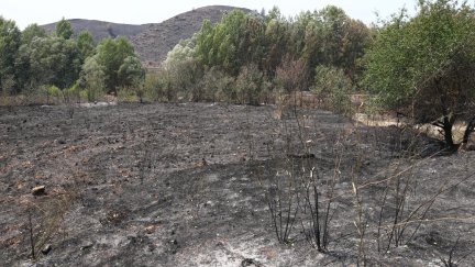 Imagen de una zona calcinada por el incendio. / Gobierno de Aragón