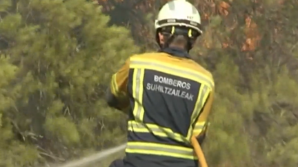 Los efectivos del Comunidad Foral de Navarra luchando contra el incendio