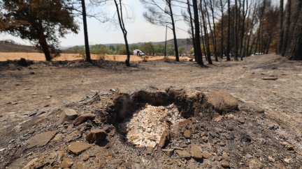 Zona afectada por el incendio de Ateca, Zaragoza. / Europa Press.