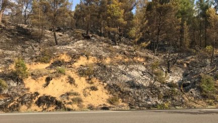 El incendio se declaraba esta pasada noche. | DGA