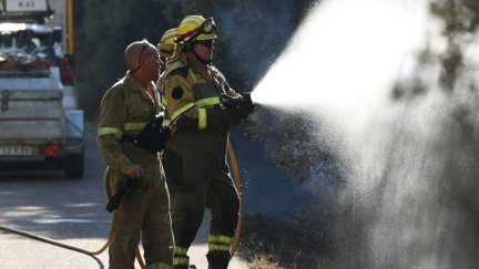 El incendio declarado este sábado en Añón de Moncayo continúa activo. / Infoar