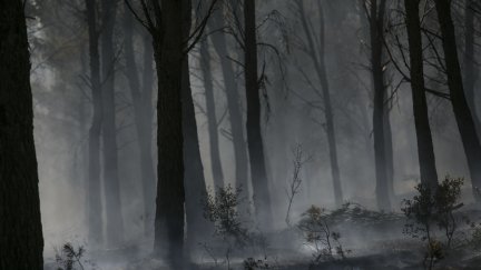 Incendio en el entorno de Añón de Moncayo, cerca de la localidad de Borja (Zaragoza). / TONI GALÁN
