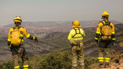 El incendio de Añón de Moncayo sigue activo. | DGA
