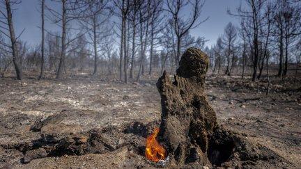 Vista general del paisaje quemado por el incendio este sábado. (EFE/Biel Aliño)