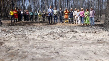 El presidente del Gobierno, Pedro Sánchez, en su visita a las zonas afectadas por el incendio de Bejís. / EFE.