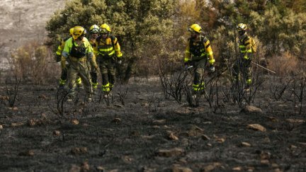 El Gobierno de Aragón da por extinguido el incendio declarado en Añón. / Infoar